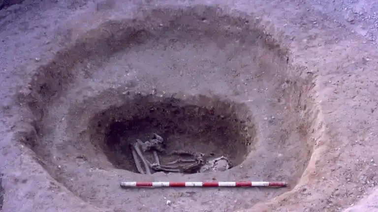 Imagen 1 de La mula más antigua de Europa Occidental fue enterrada en Barcelona hace más de 2.500 años junto a una joven parcialmente quemada