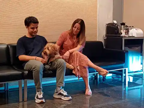 Imagen 1 de Perros y gatos despidiéndose de sus humanos en el tanatorio de Badalona