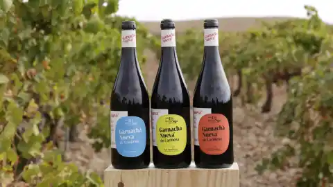 Imagen 1 de ¿Conoces la garnacha nueva de Cariñena? Un vino joven, divertido y vibrante de solo 11 grados