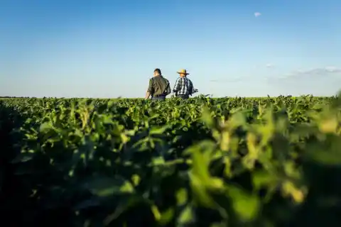 Imagen 1 de Nuevo servicio de asesoría ESG para ayudar a las empresas españolas