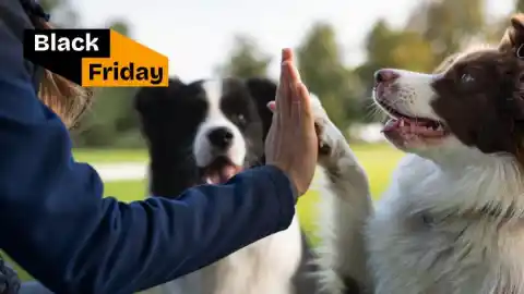 Imagen 1 de Tu perro también se merece un capricho por el Black Friday
