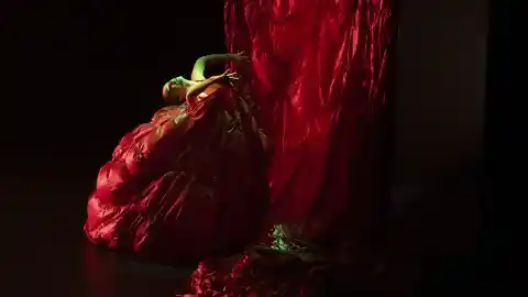 Imagen 1 de El flamenco suena en Bruselas entre pinturas de Goya y artistas nuevos y clásicos