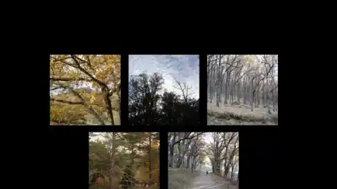 Imagen 1 de Otoño en el robledal de la Najarra