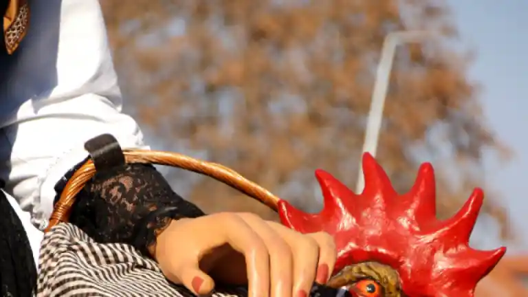 Imagen 1 de El Pota Blava se asegura el protagonismo en una nueva edición de la Fira Avícola de El Prat