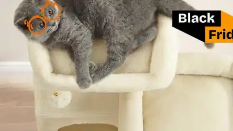 Imagen 1 de Este árbol rascador para gatos, ideal para pisos pequeños, tiene muy buena rebaja de Black Friday